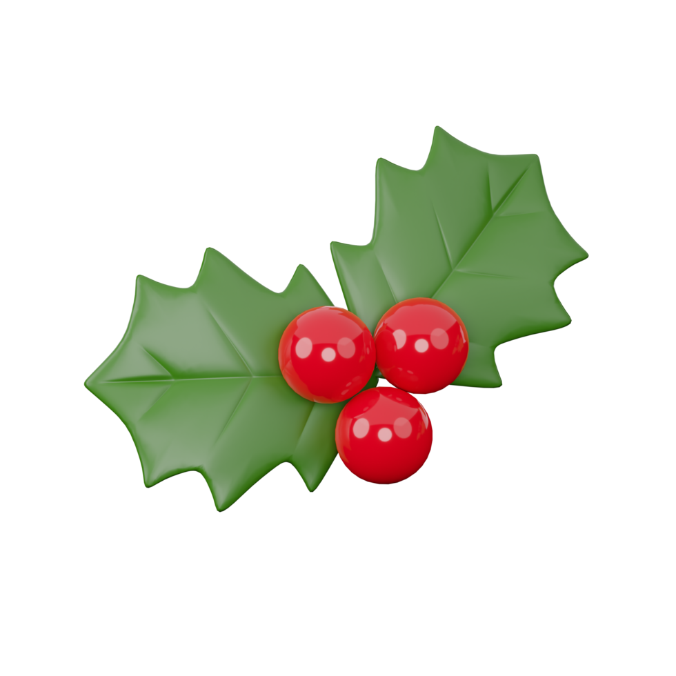 Holly decoration